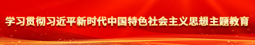 大吊操骚逼网站学习贯彻习近平新时代中国特色社会主义思想主题教育